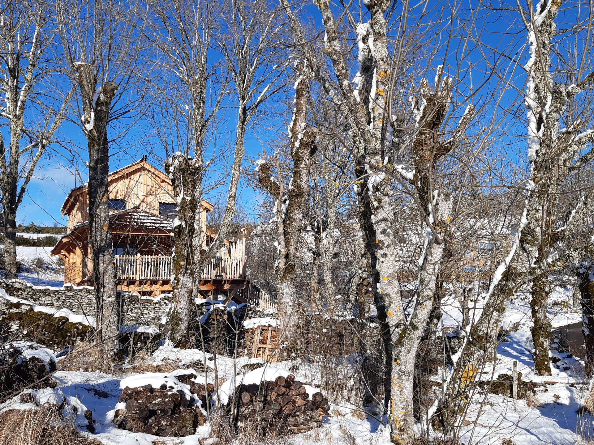CABANE SPA BÉRÉNICE, Cubières - photo 3