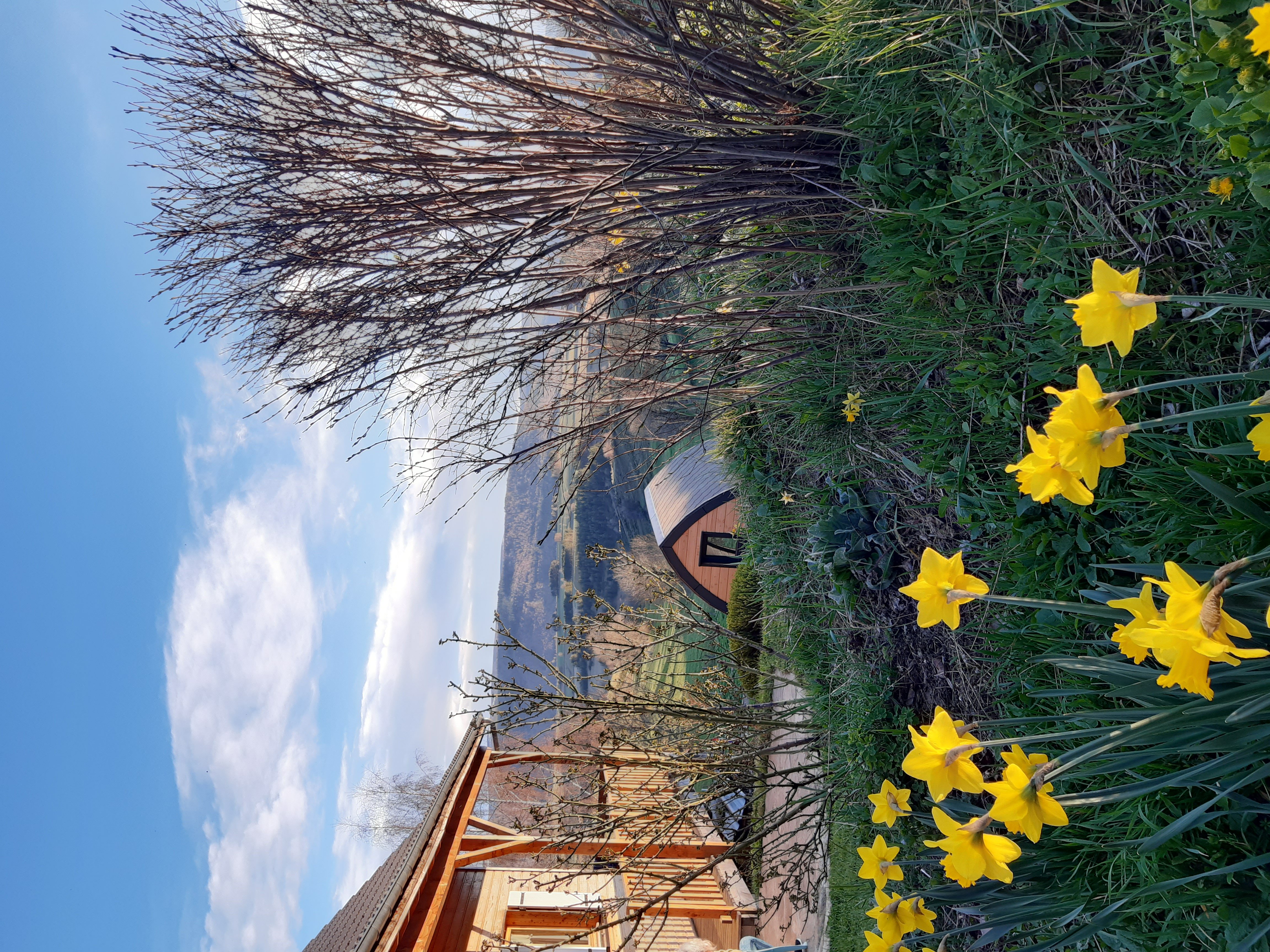 CABANE PETITE OURSE, Cubières - photo 3