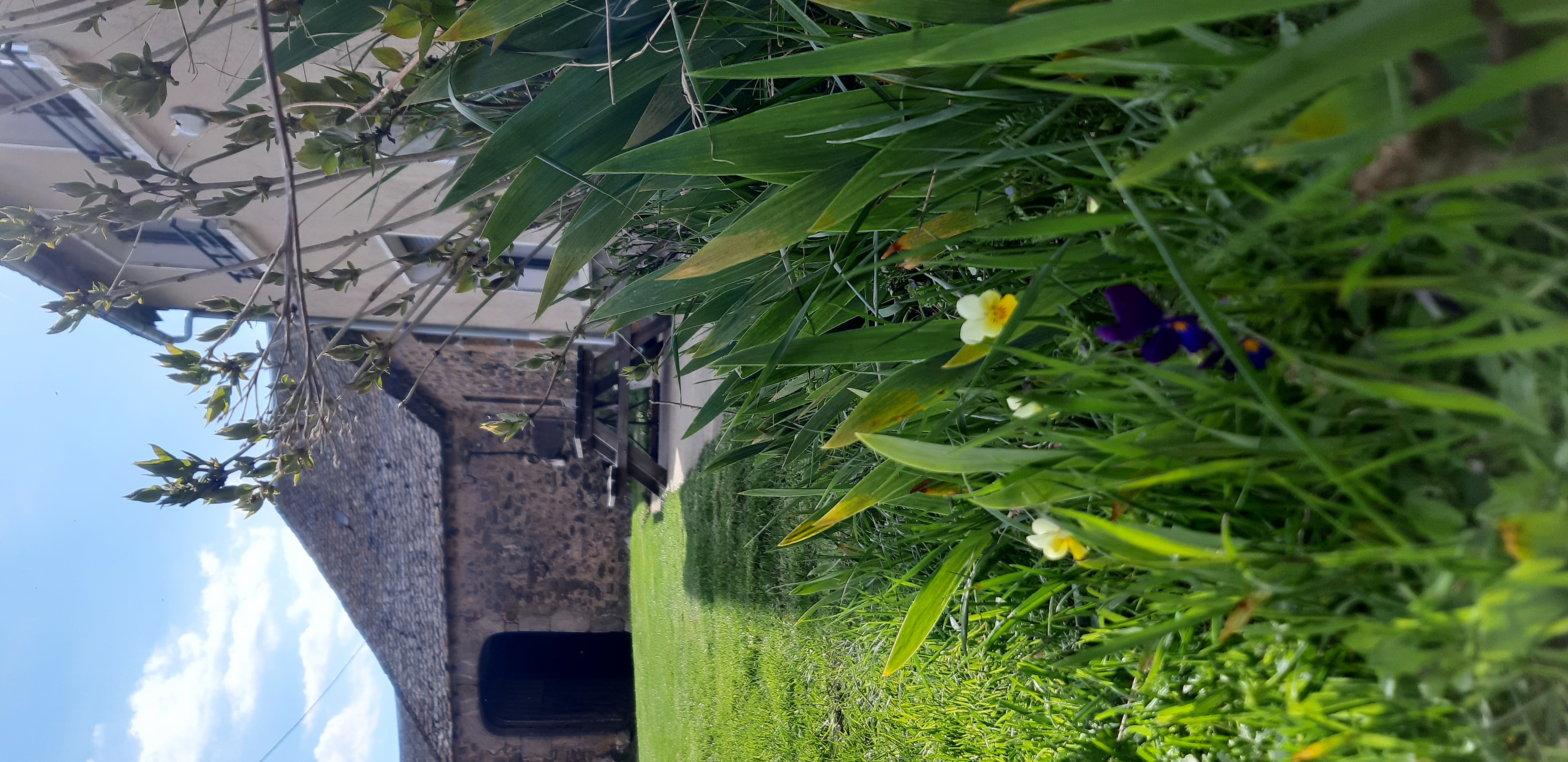 L'OSTAL DE RICOU ET THÉRÈSE, Trélans - photo 5