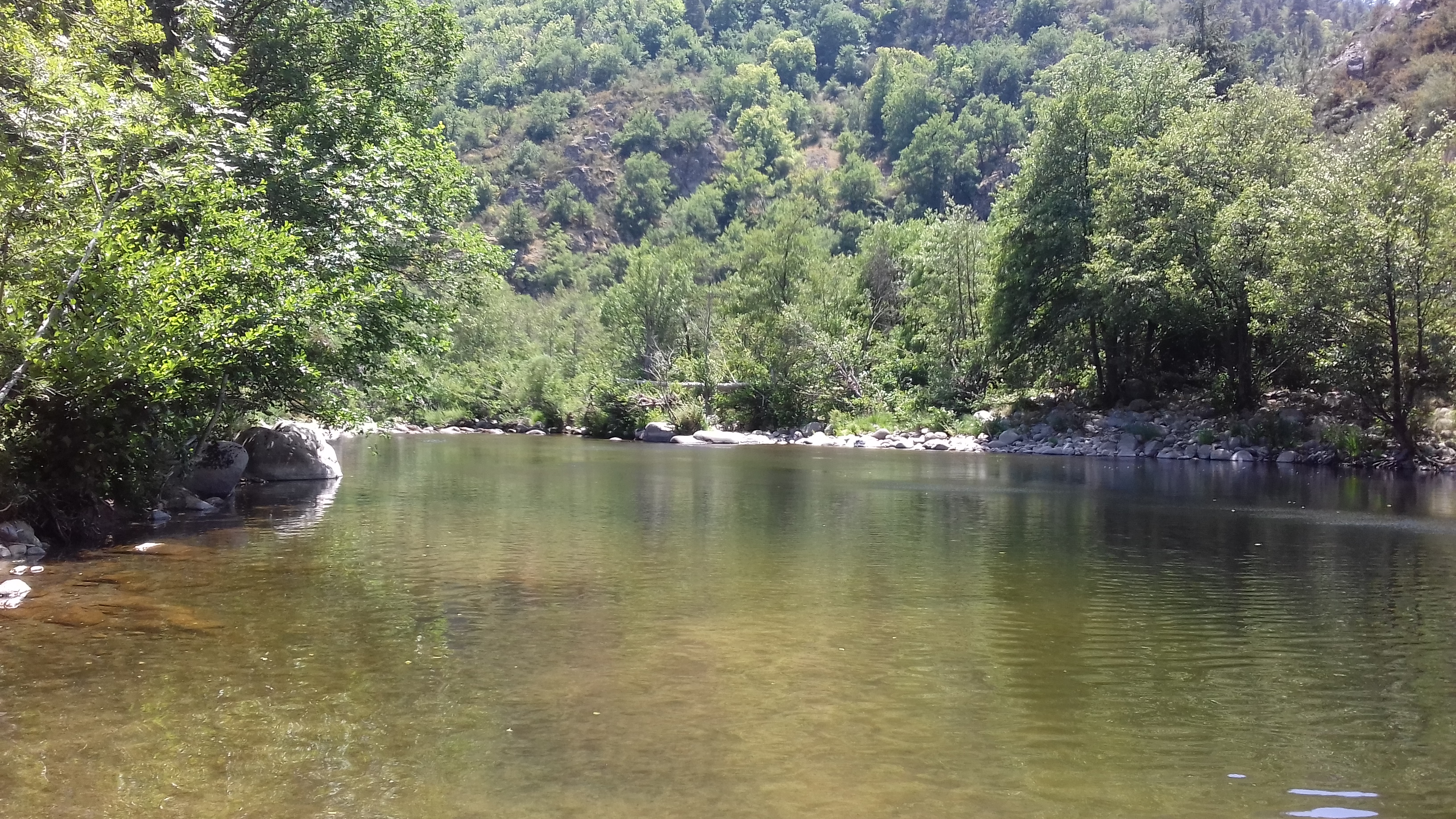 BALADE NATURE AU BORD DU TARN