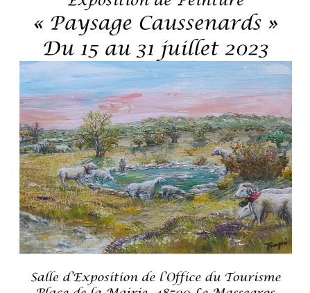  RAYMIE EXPO PEINTURE OT LE MASSEGROS: PAYSAGES CAUSSENARDS