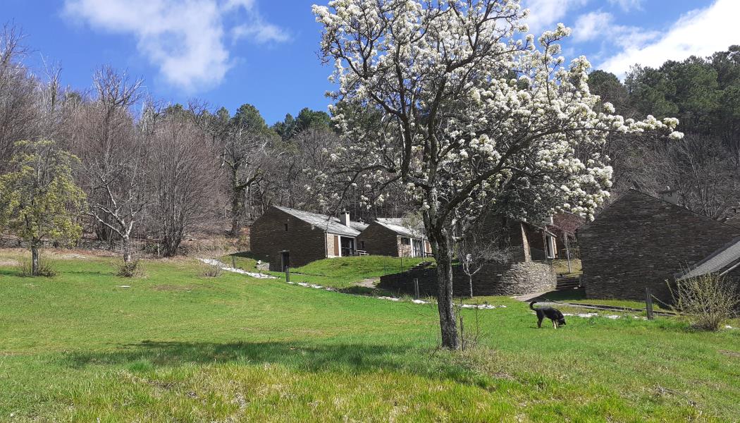 Un village de nature au coeur de la nature