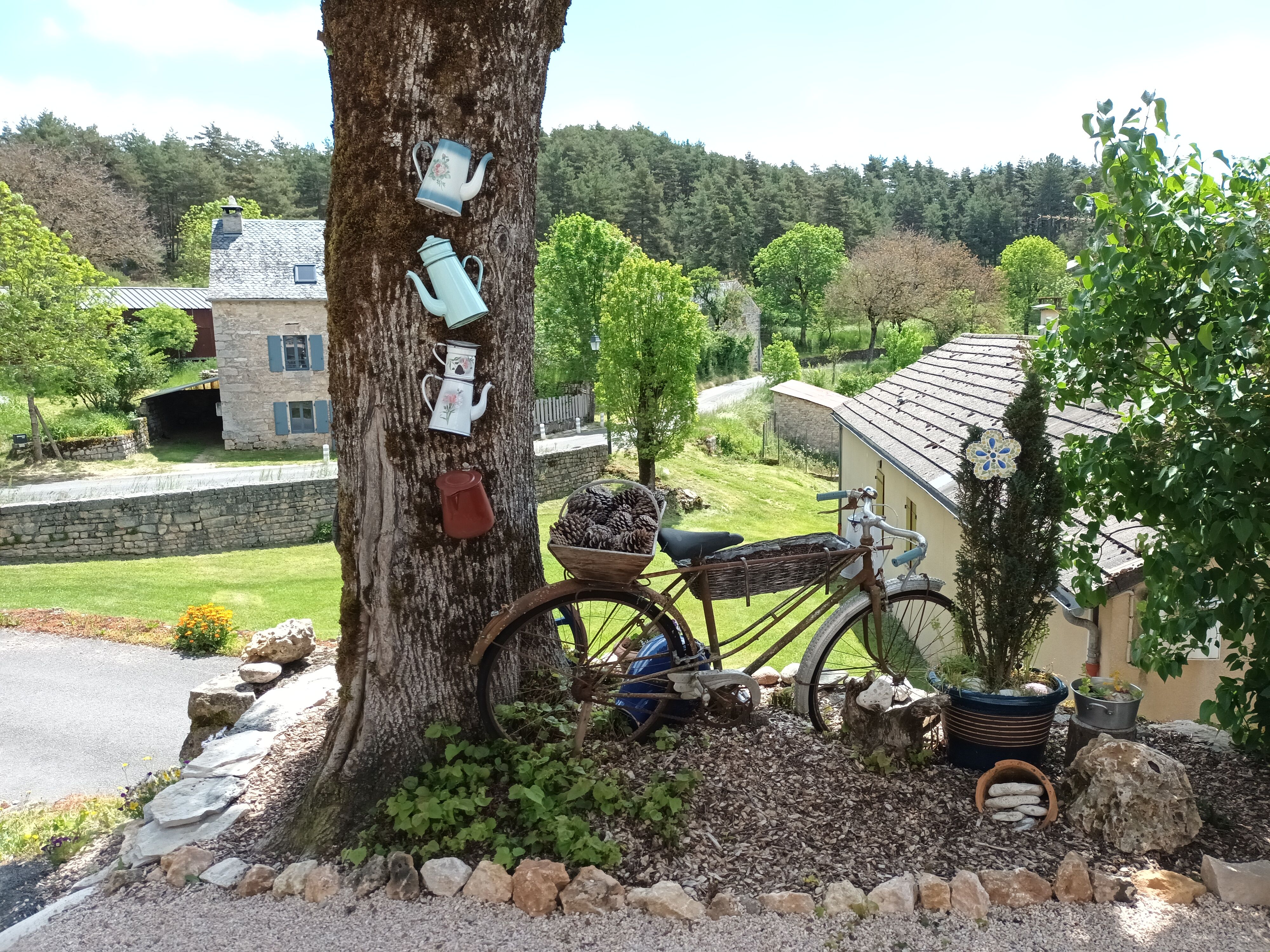 GÎTES DE L'ANCIEN PRESBYTERE - GÎTE ALBARET, Massegros Causses Gorges - photo 4