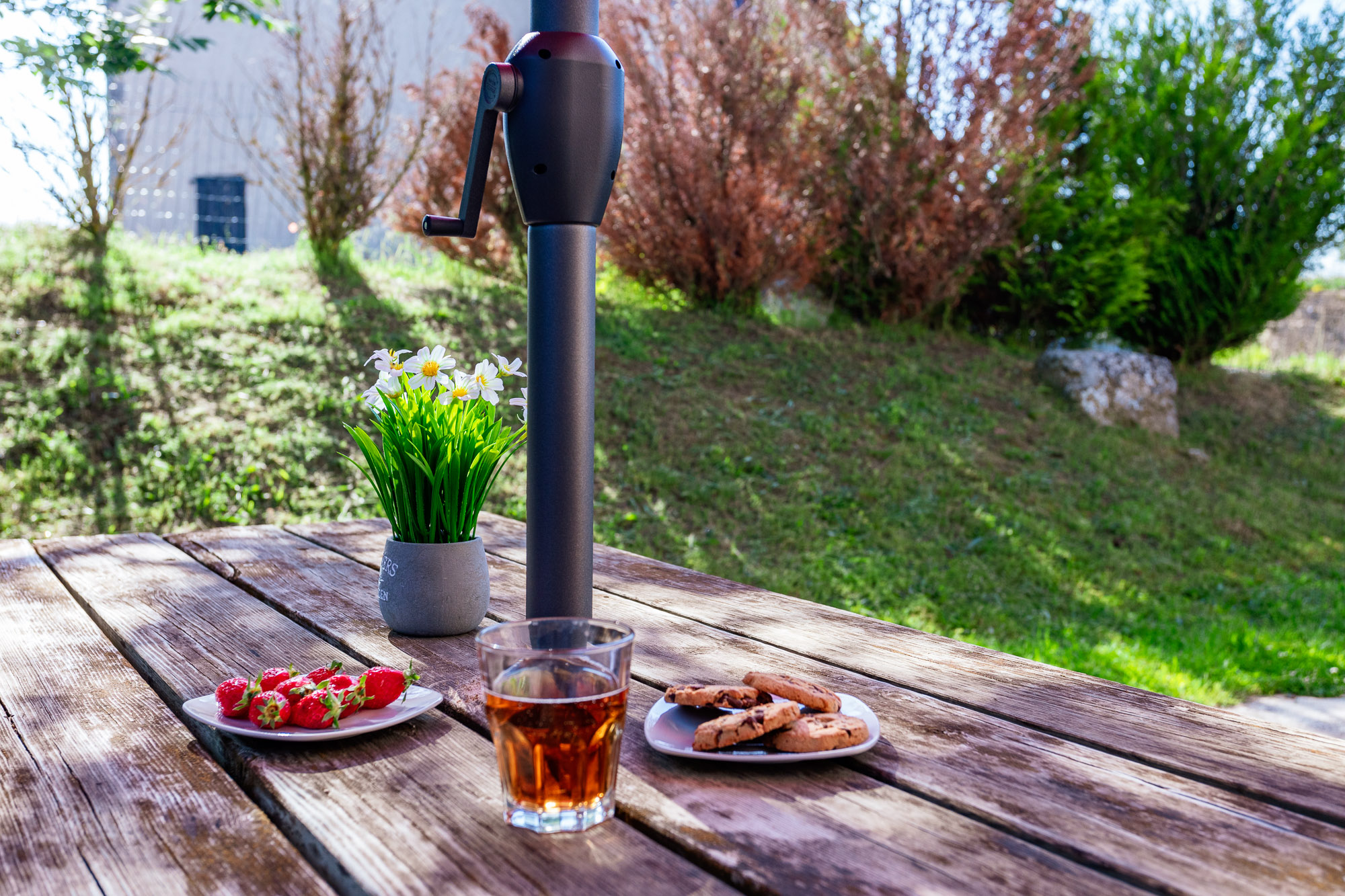 FEMINIER JOEL 2 - F2 RDC, Chastanier - photo 8