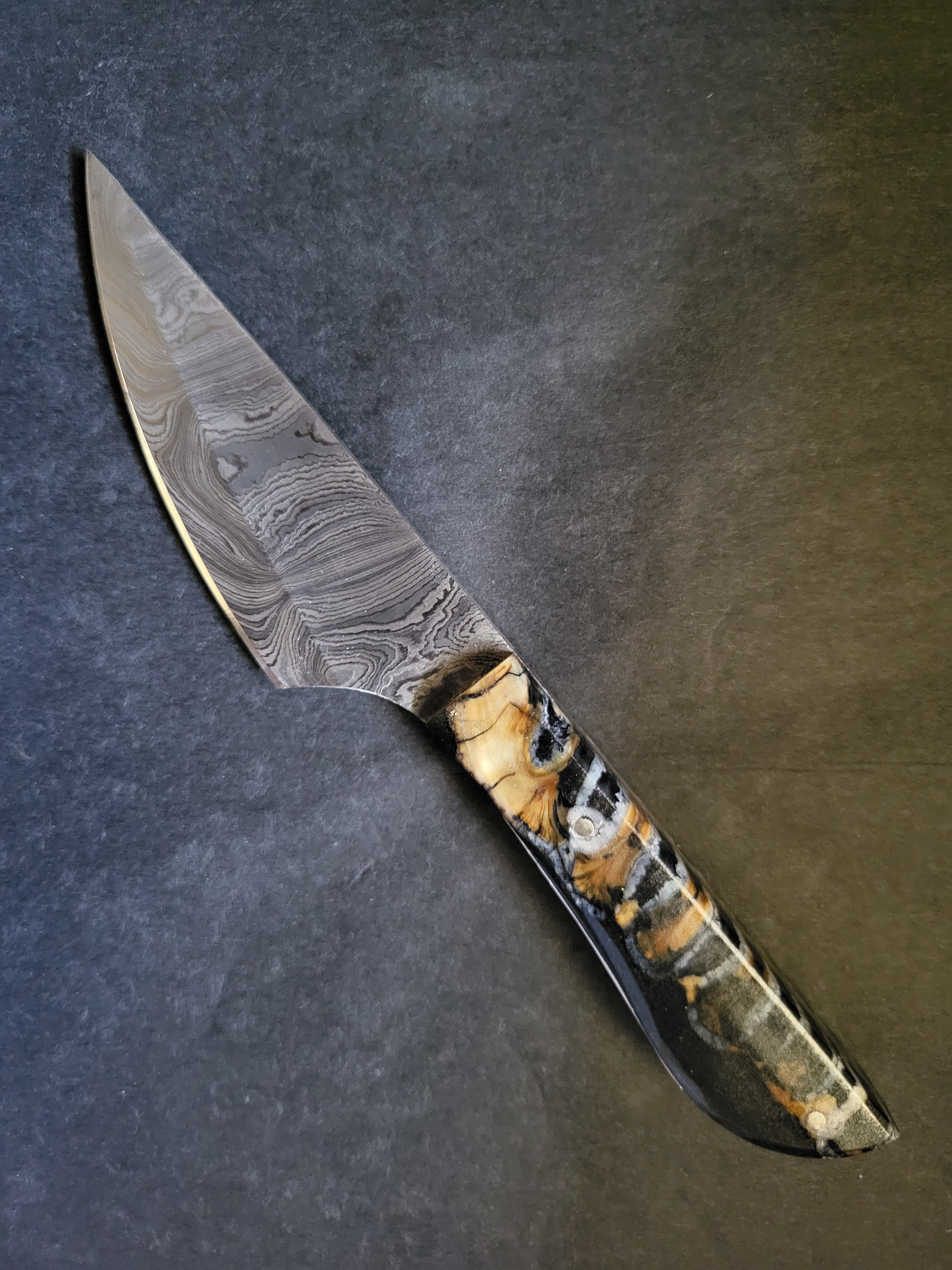 ATELIER BOIS DE SOPHIE, Mas-Saint-Chély - photo 6