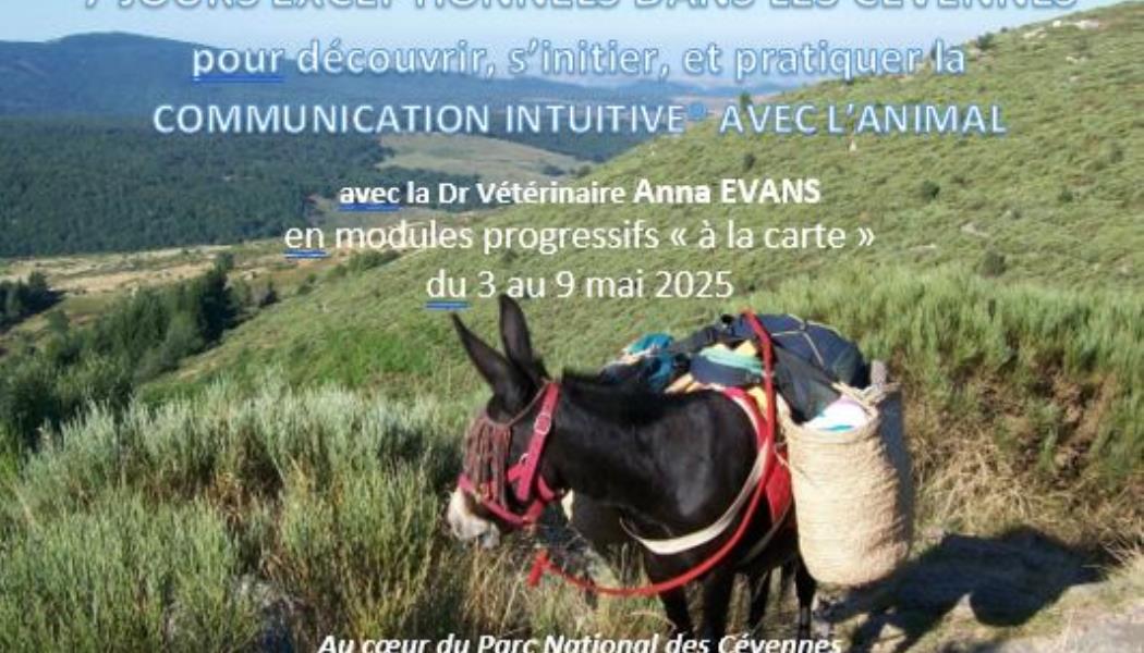 2025-anna-evans-cevennes-page1-2
