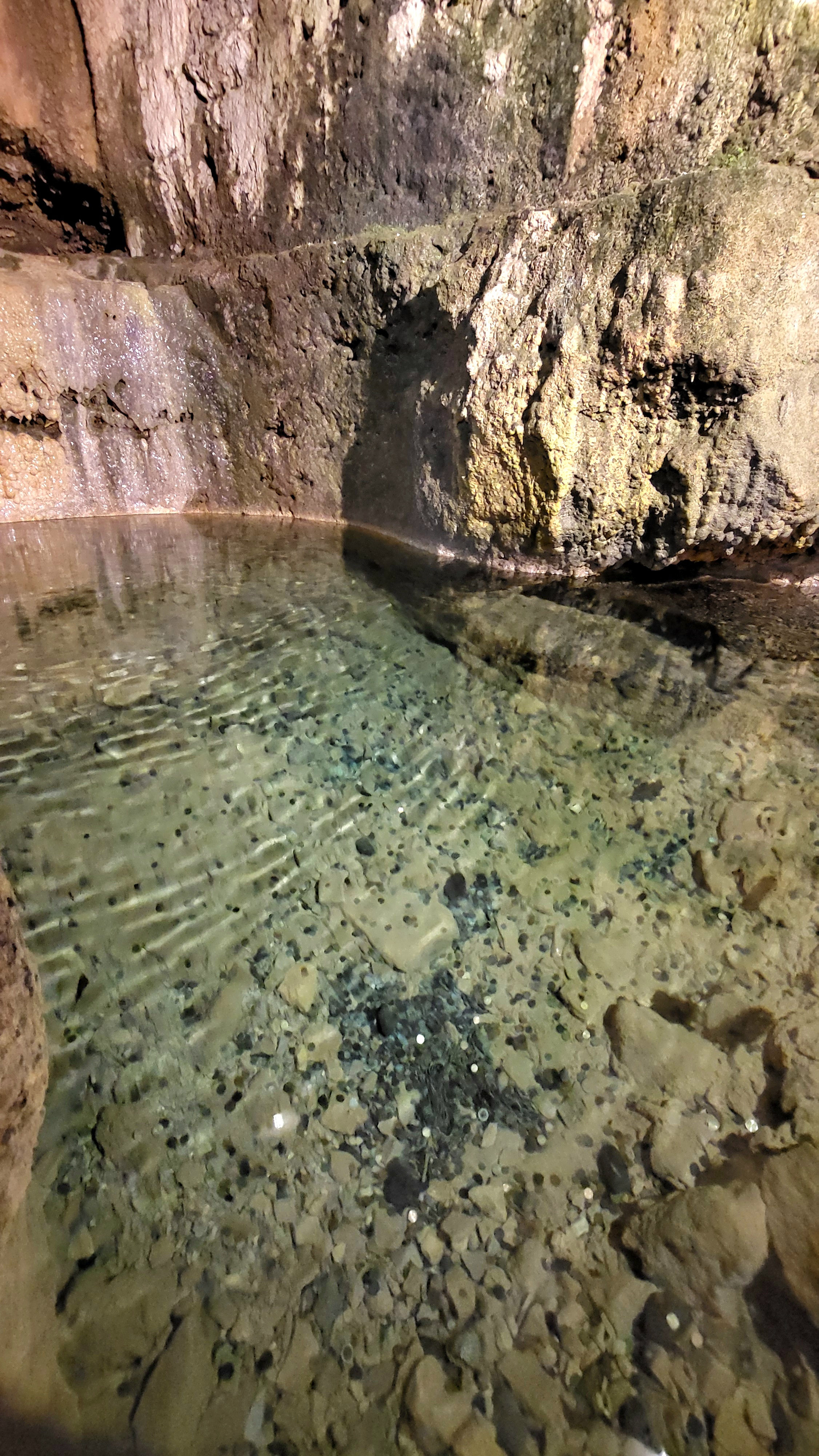 LA SOURCE DU MOULIN DE CENARET, Gorges du Tarn Causses - photo 14