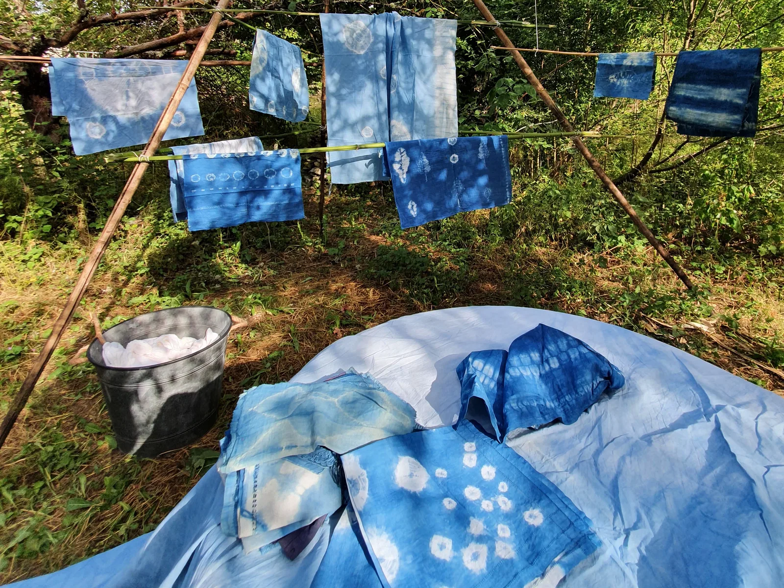 ATELIER TEINTURE VÉGÉTALE COMPLET AU JARDIN ET VISITE DE L'INDIGOTERIE