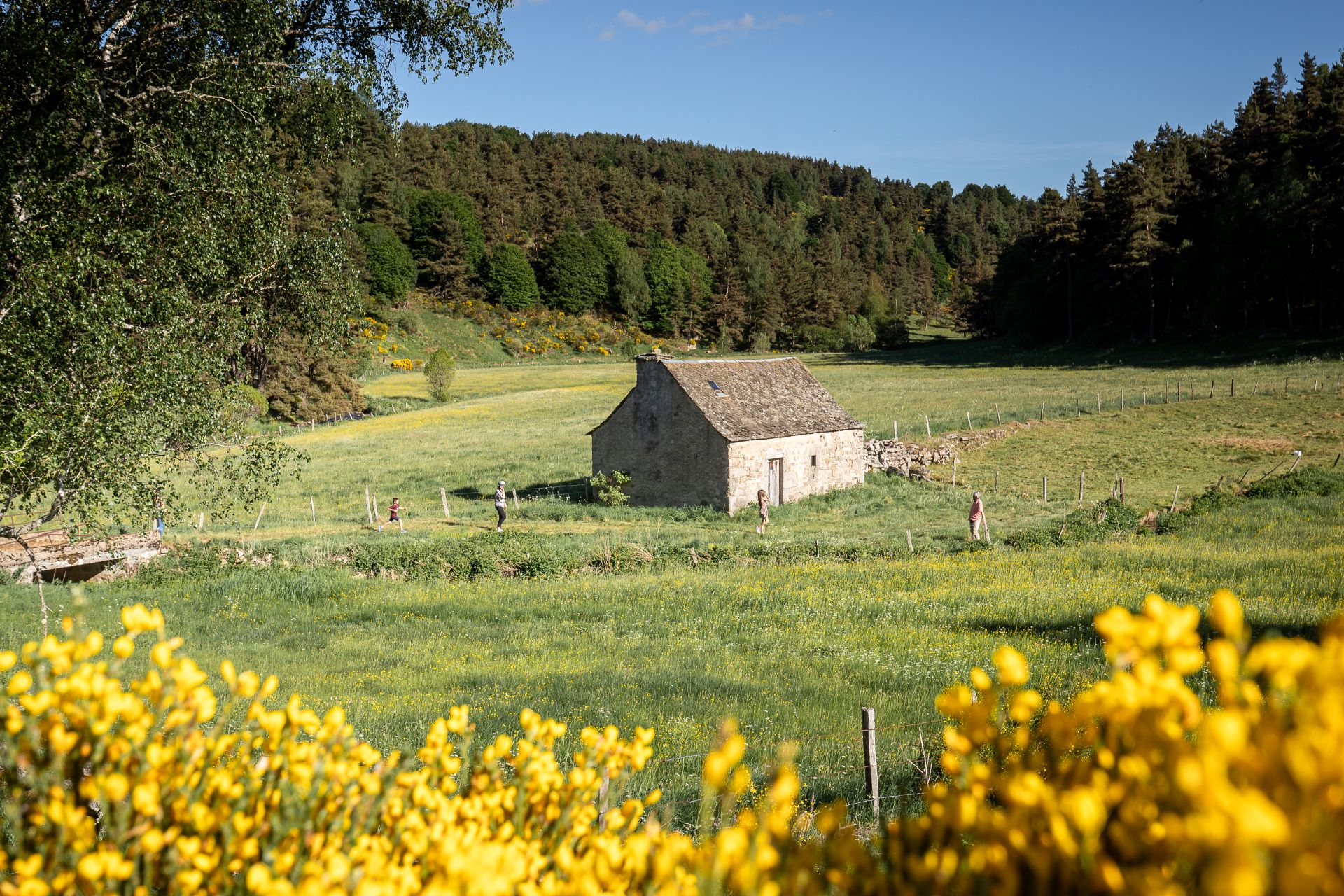 Les moulins de Beauregard