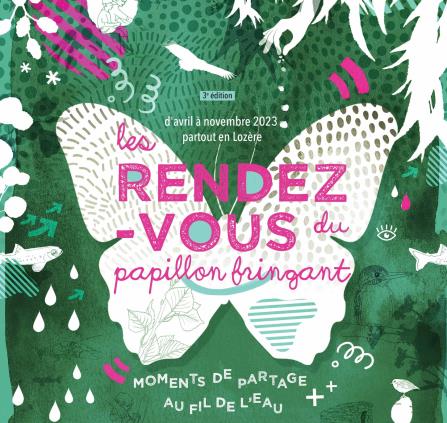 33Papillon fringuant