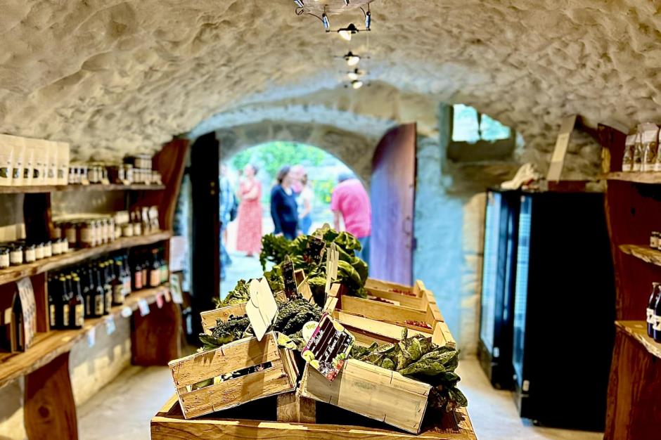 361849923_139646999161270_8303133462326144388_n 