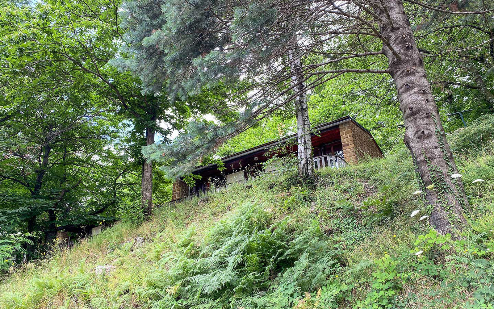 CAMPING LE LAC photo 5