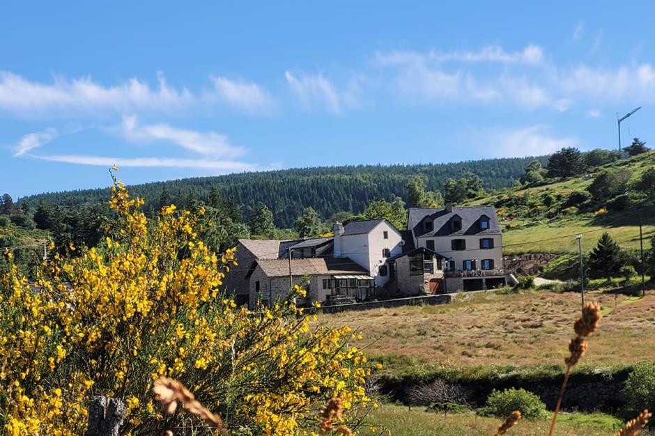 469085670_901910302152216_3715241387141935122_n 