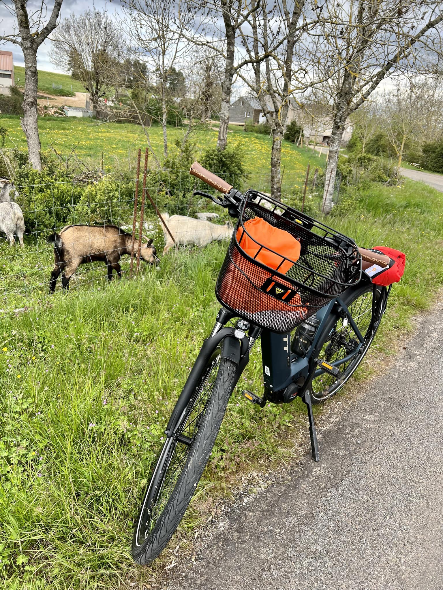LES VÉLOS DES GORGES DU TARN, La Malène - photo 2