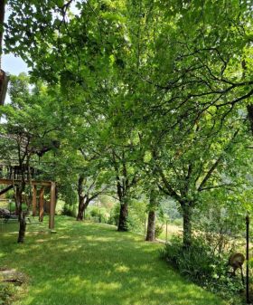 LE GÎTE D'ALFRED, Gorges du Tarn Causses - photo 6
