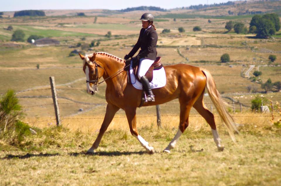 CLUB HIPPIQUE DU GEVAUDAN - photo 3