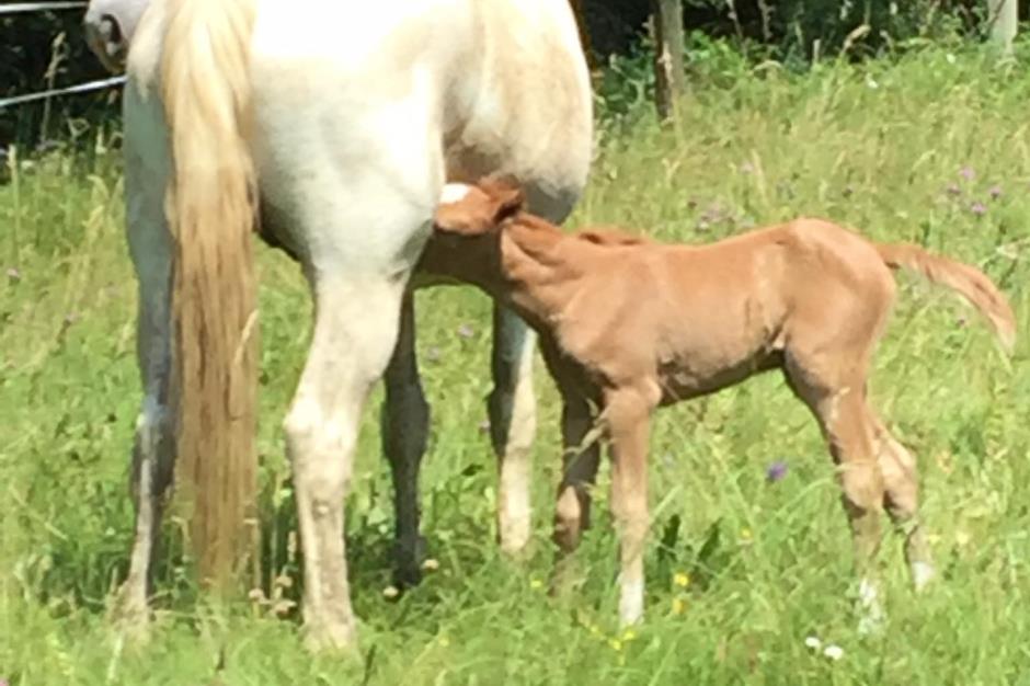 494193729_3883398458587072_3788483483625498372_n 