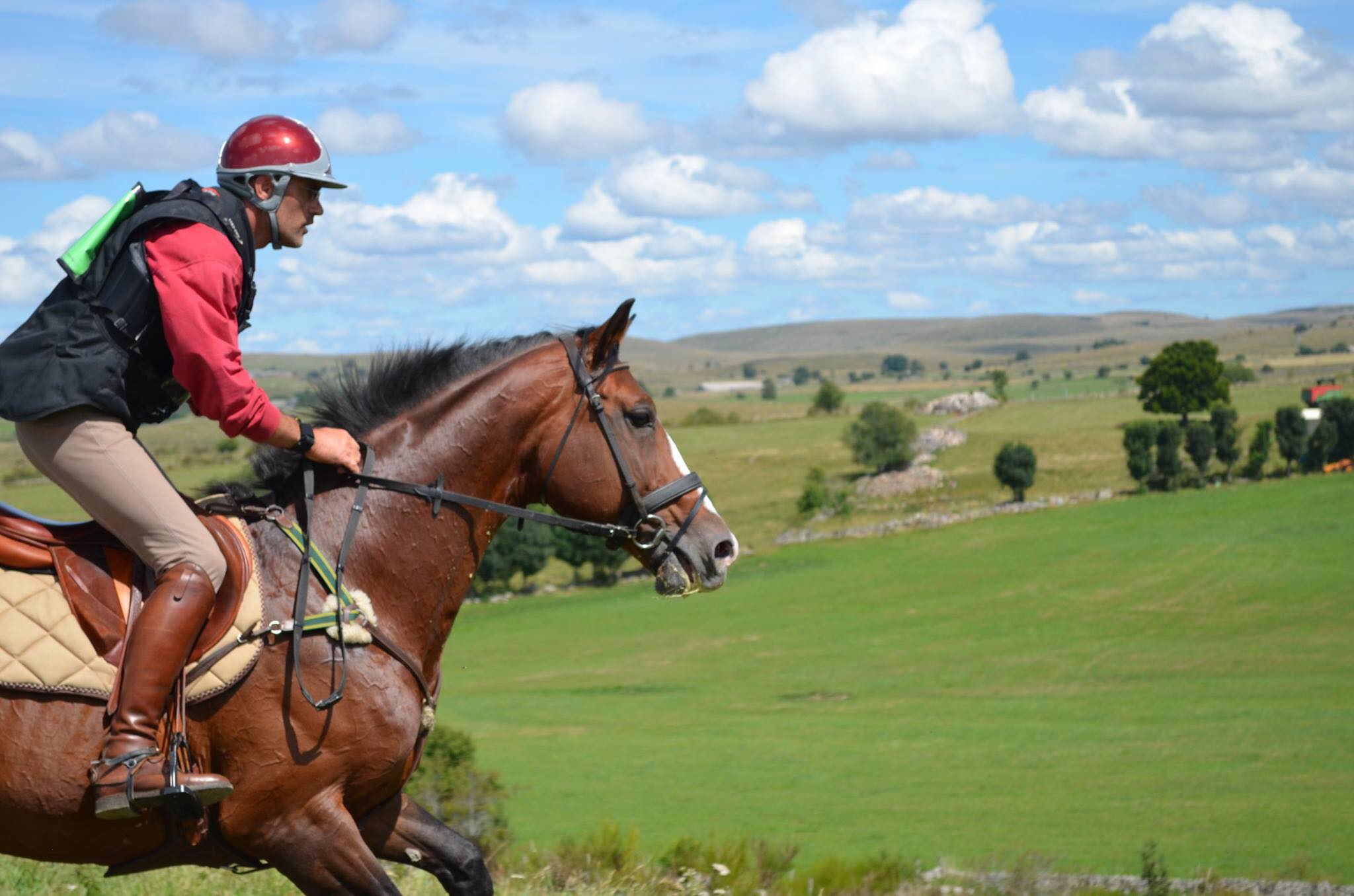 CLUB HIPPIQUE DU GEVAUDAN — Prestataires d'activités à Lozère