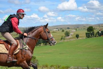 496131267_3890886997838218_5805212018429462347_n 496131267_3890886997838218_5805212018429462347_n