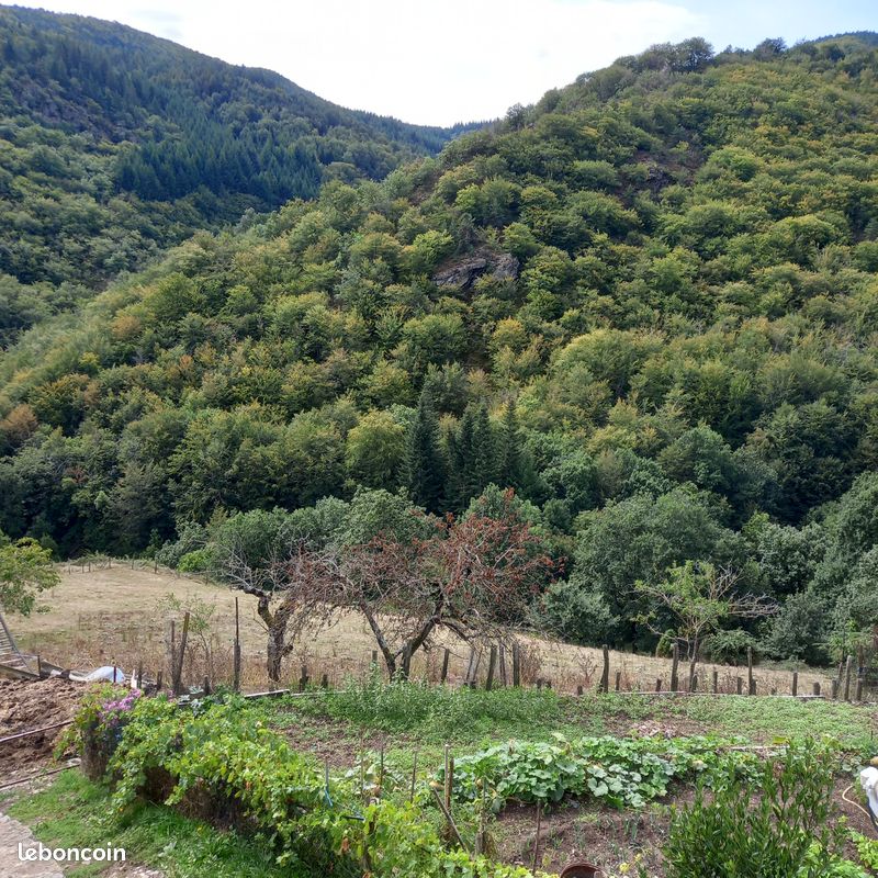 LOU PAÏOU 2, Cans et Cévennes - photo 13