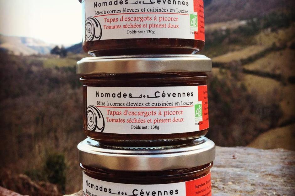 50973698-326594171294273-4143704135587332096-o--1--2 