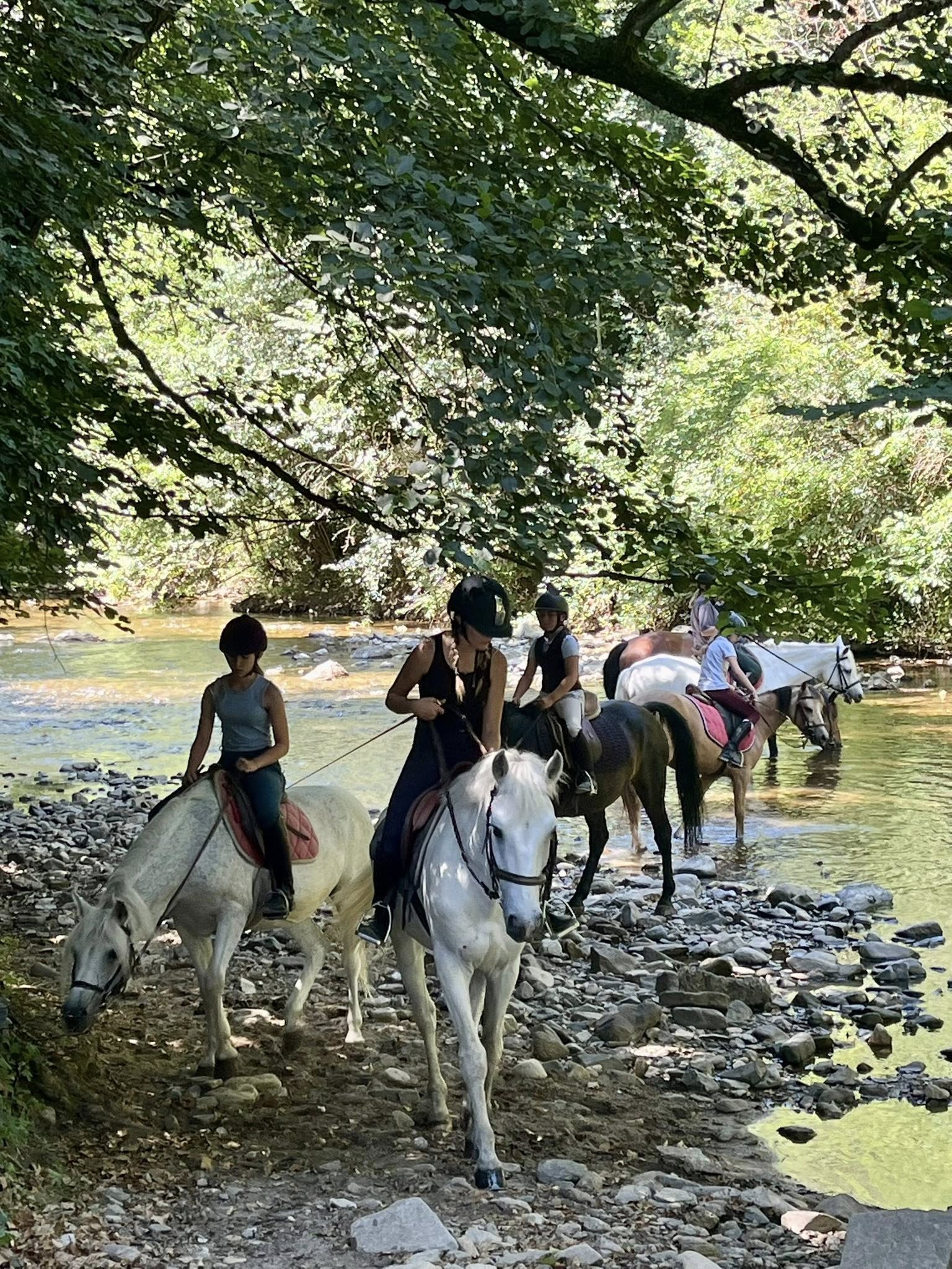 CLUB HIPPIQUE DU GEVAUDAN - photo 4