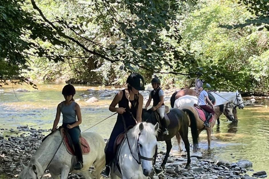 518895042_1258063556117383_4471824790137745997_n 