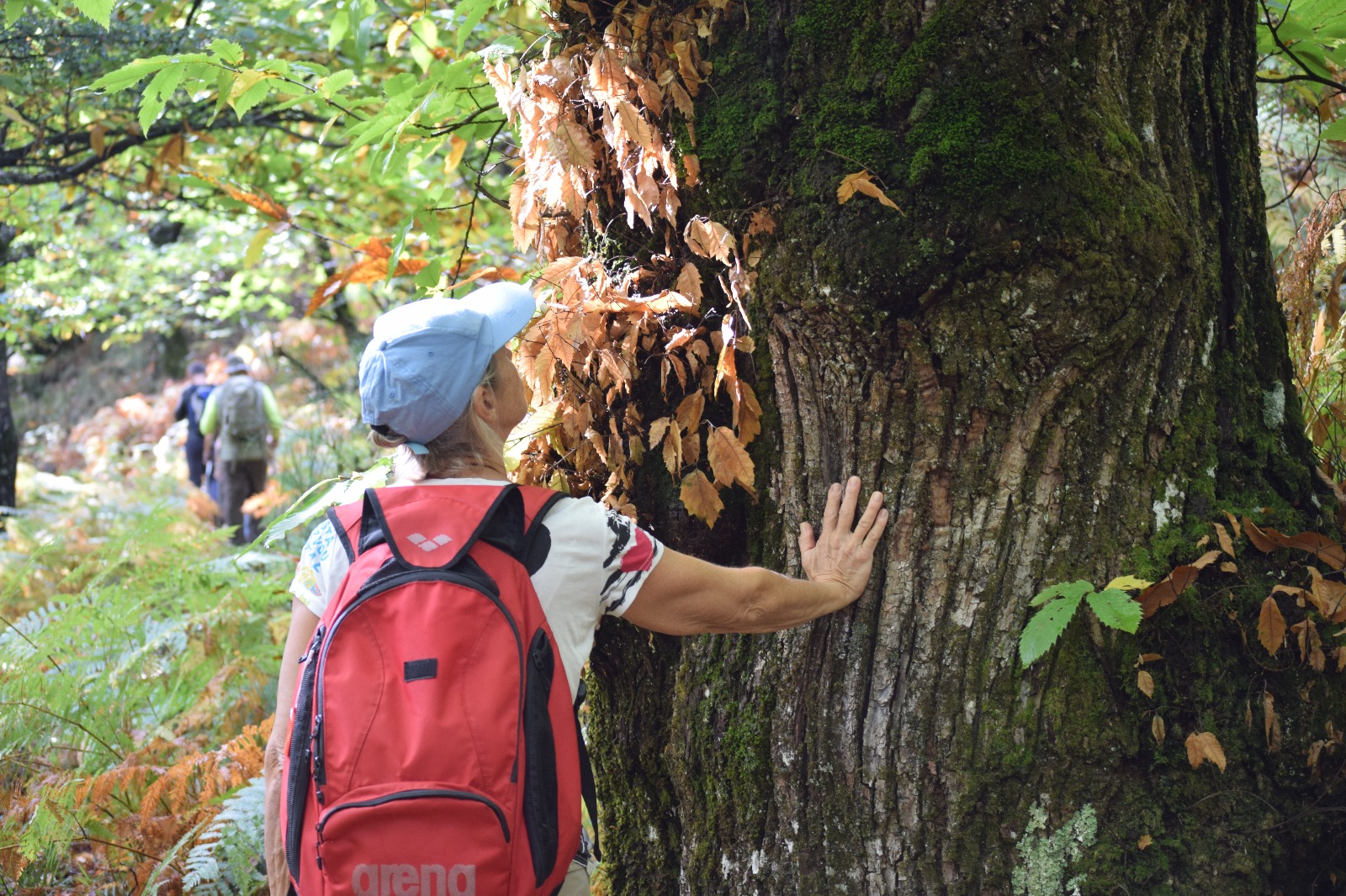 NATURALOHA : DÉCOUVERTE DES CÉVENNES À PIED, Barre-des-Cévennes