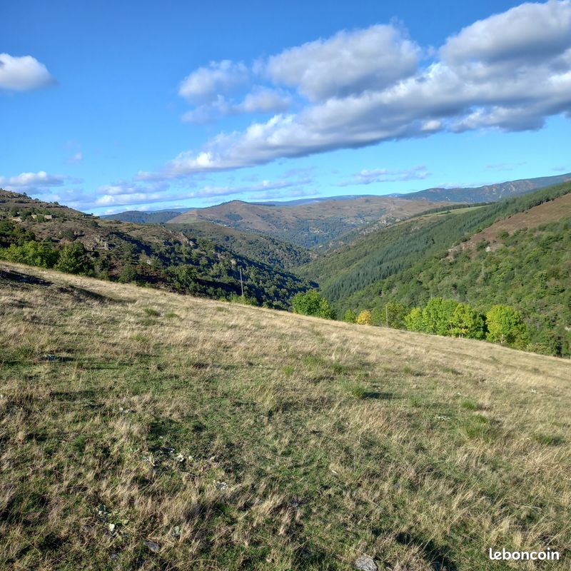LOU PAÏOU 2, Cans et Cévennes - photo 7