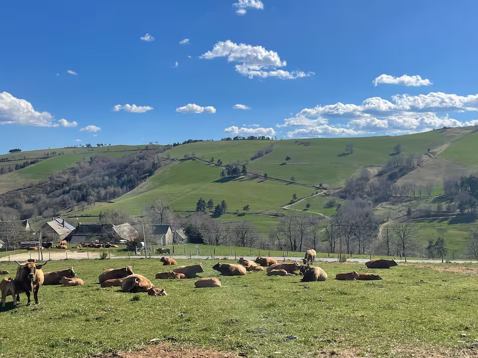 LA TINY NOUBLOUX, Trélans - photo 5