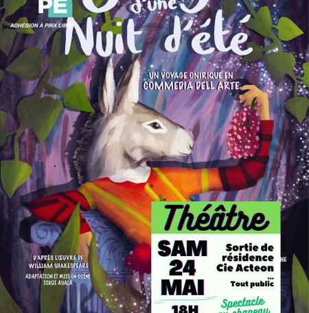 AFFICHE SONGE NUIT ETE - 1