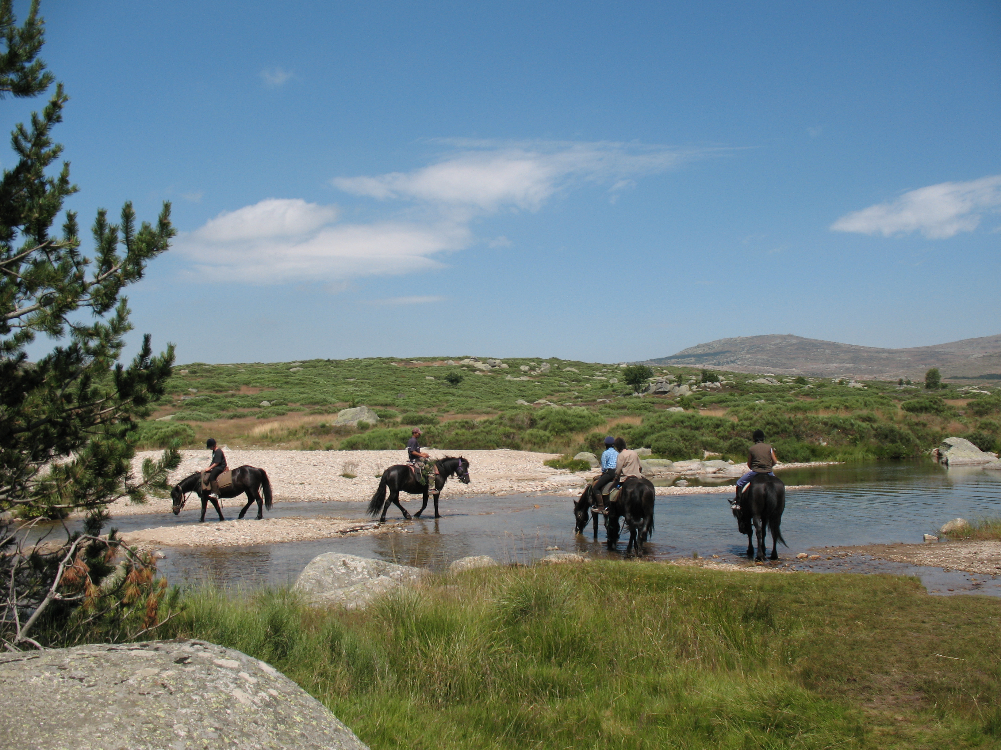 TROIS JOURS A CHEVAL SUR LE MONT LOZERE