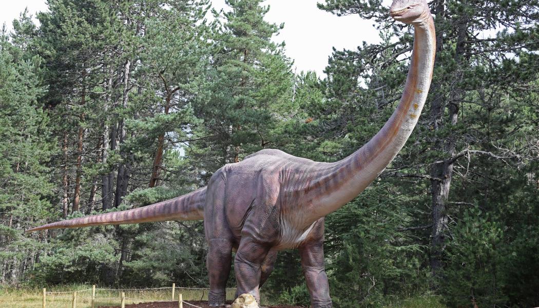 Argentinosaurus