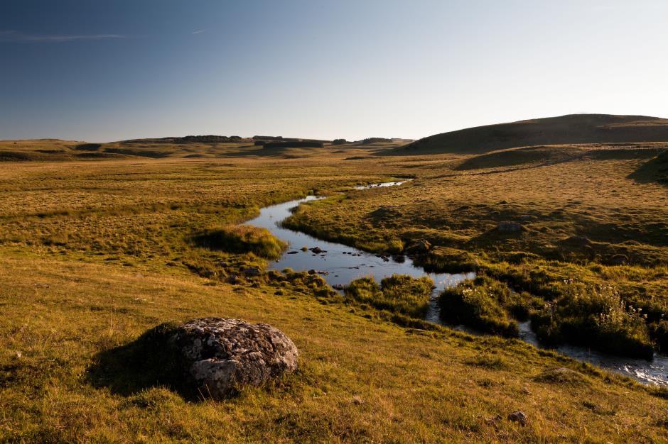 Landscape of Aubrac in Lozere 