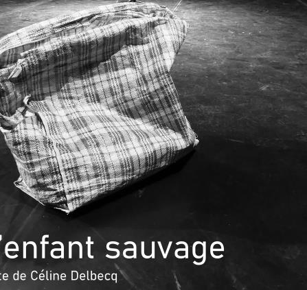 Affiche-Lenfant-sauvager