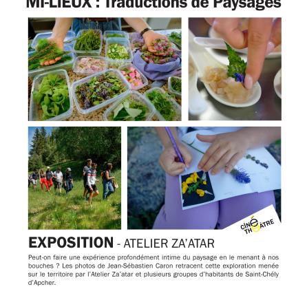 Exposition MI-Lieux / Traductions des Paysages