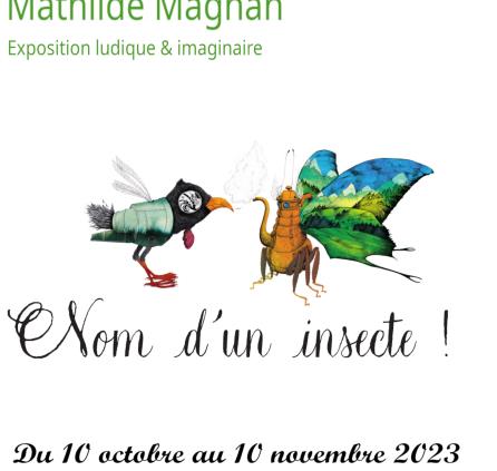 Exposition de Mathilde Magnan "Nom d'un insecte!"
