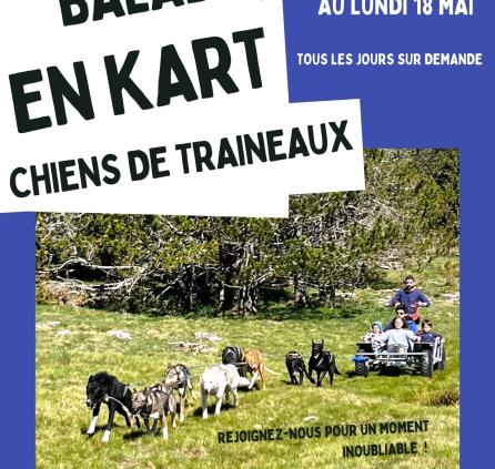 Balade en kart chien de traineaux