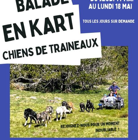Balade en kart chien de traineaux