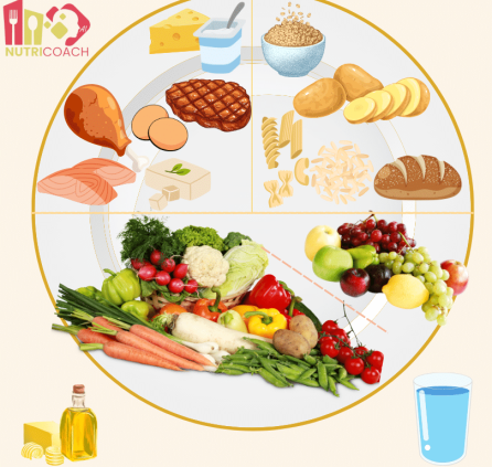 Alimentation équilibrée - 6-06