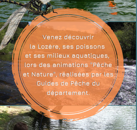 Animations pêche 2022