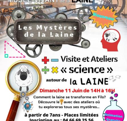 Atelier Les Mystères de la Laine - 11-06