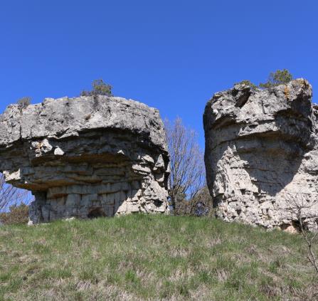 Balade contée, les hauts de Barre des Cévennes