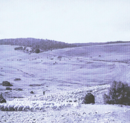 BaladeAnimee- CheylardlEveque - 9-07