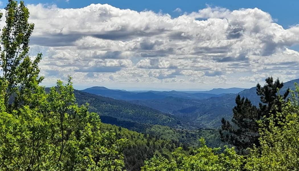 Les Cévennes pour vous