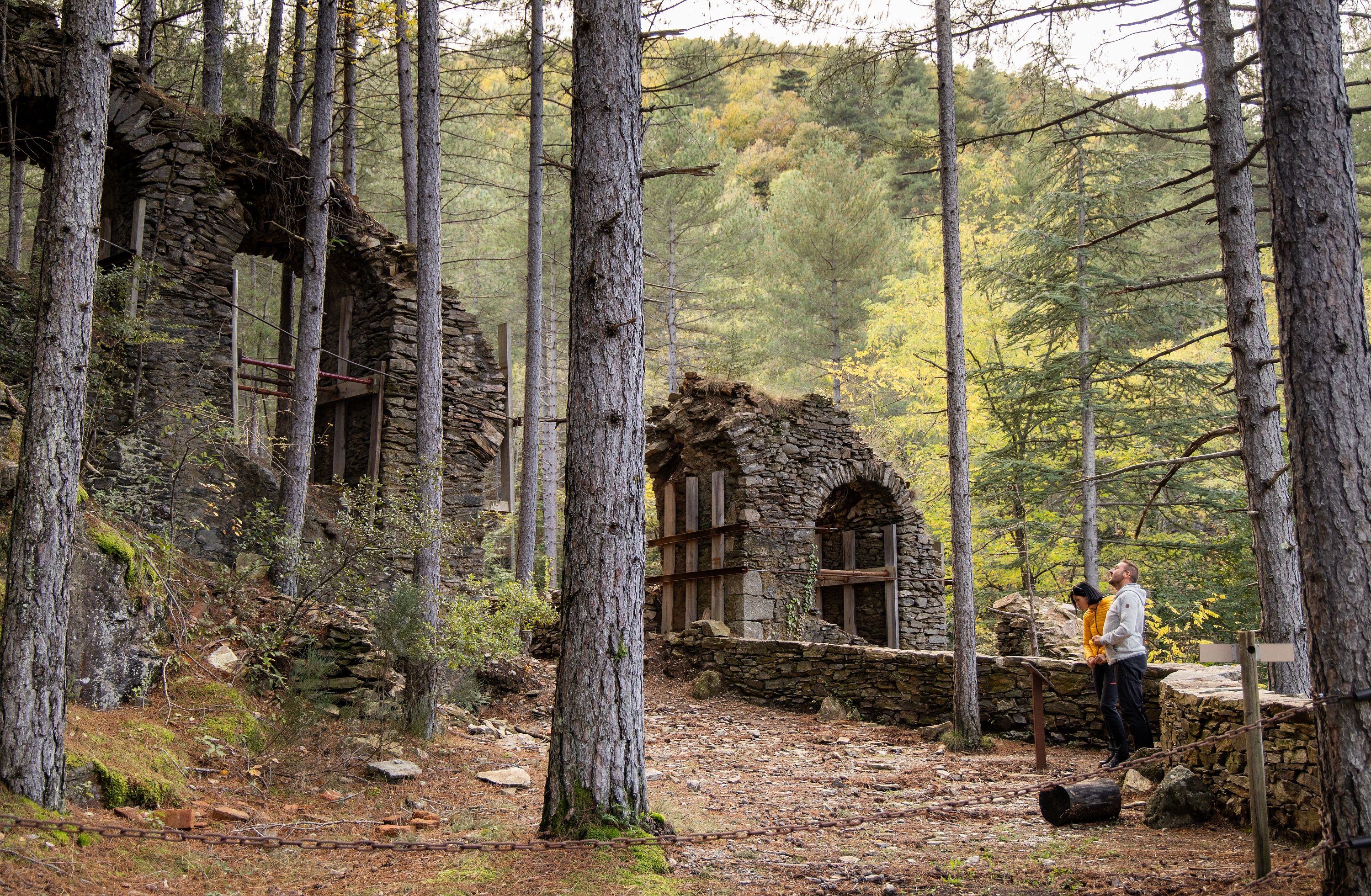 ANCIENNE MINE D'ARGENT DU BOCARD, Vialas