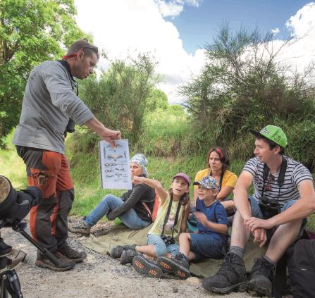 Les mystères de nos forêts