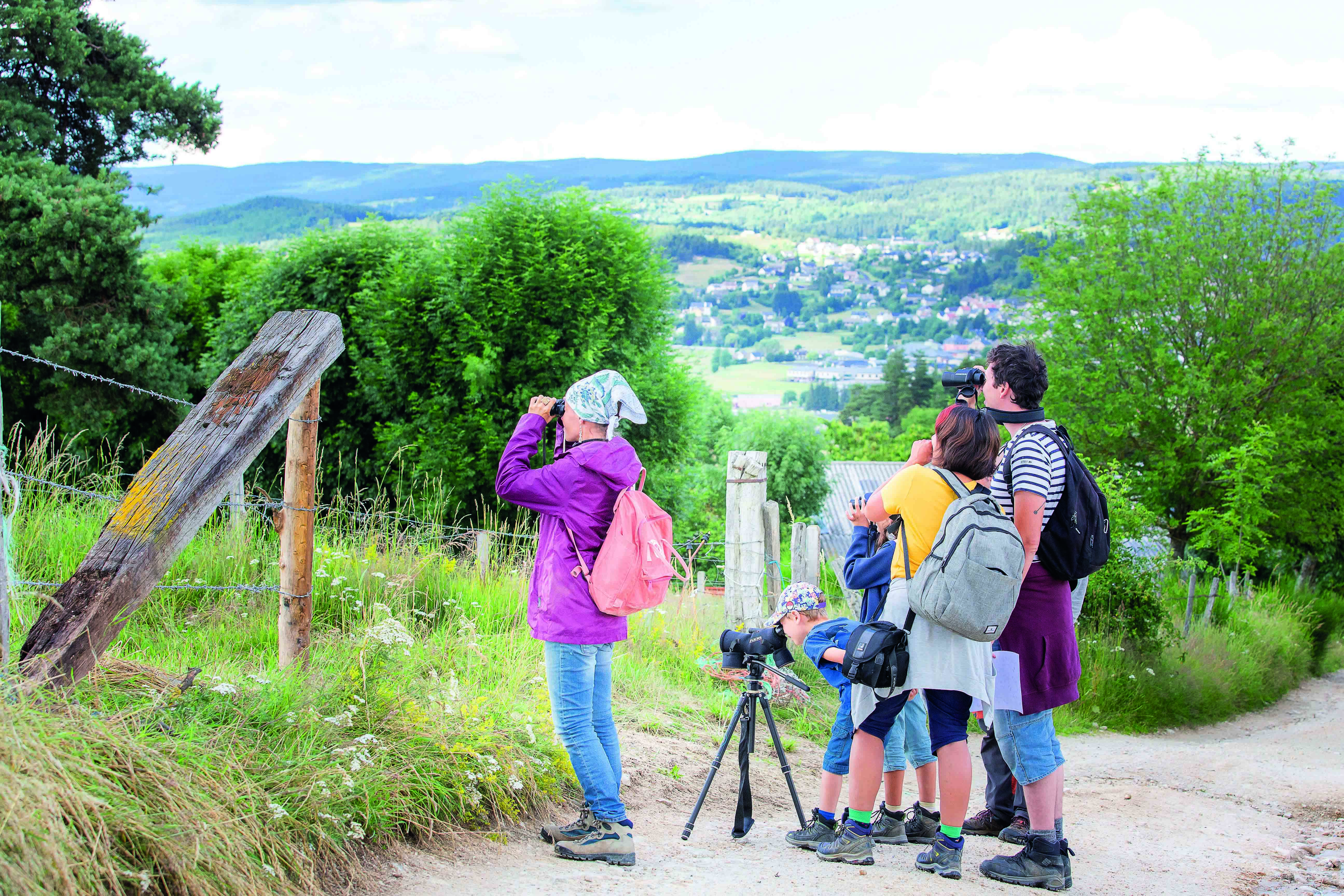 SORTIE NATURE - CRIS ET CHANTS D'OISEAUX