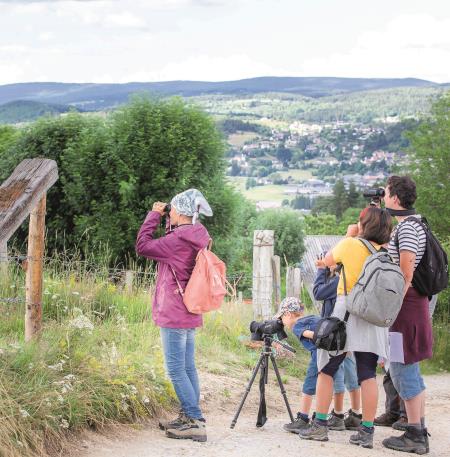 Cris et chants d'oiseaux