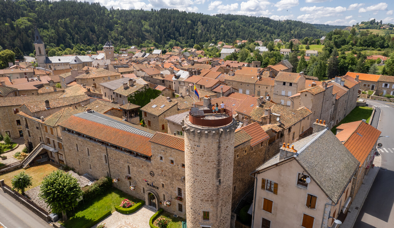 VISITE GUIDÉE - LA CITÉ MÉDIÉVALE DU MALZIEU